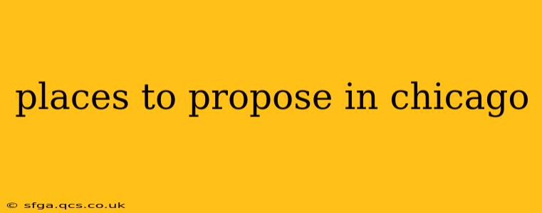 places to propose in chicago