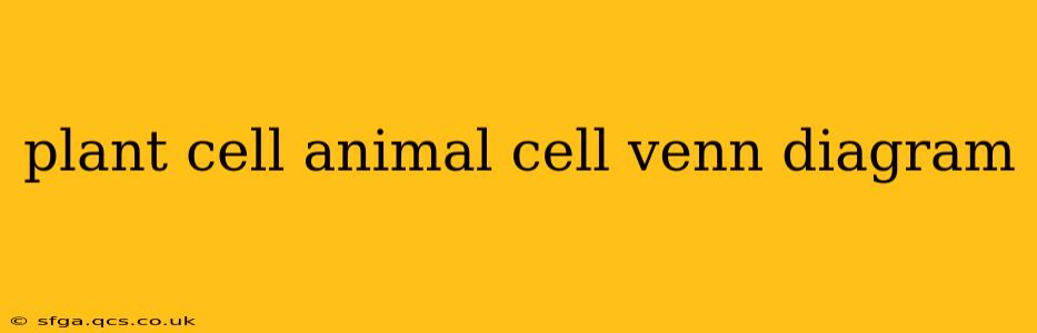 plant cell animal cell venn diagram