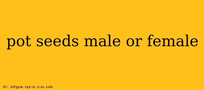 pot seeds male or female