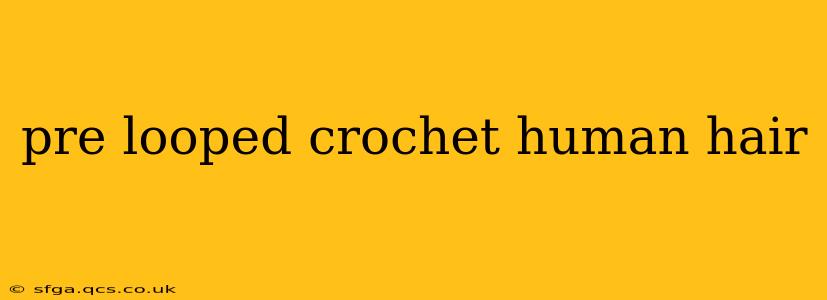 pre looped crochet human hair