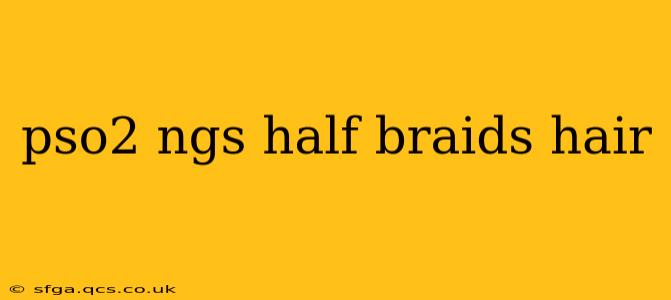 pso2 ngs half braids hair