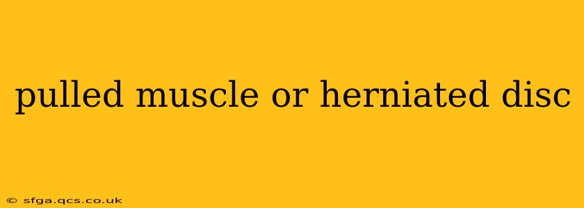 pulled muscle or herniated disc