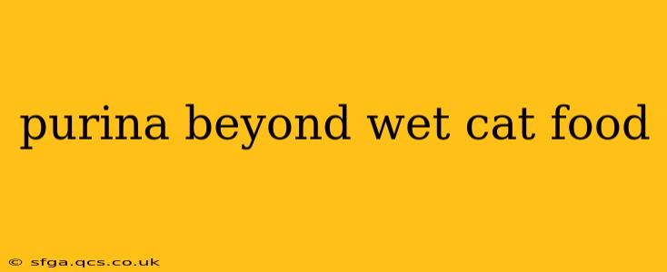 purina beyond wet cat food