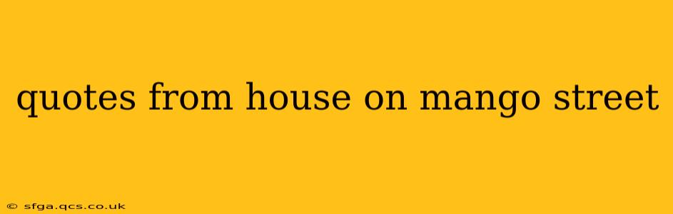quotes from house on mango street
