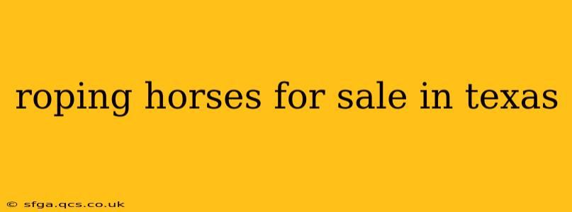 roping horses for sale in texas