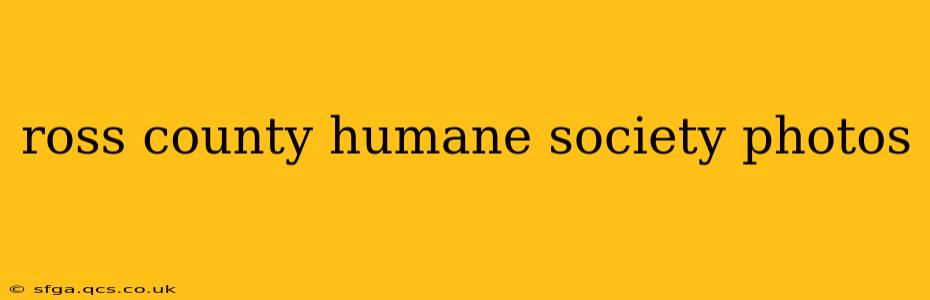 ross county humane society photos