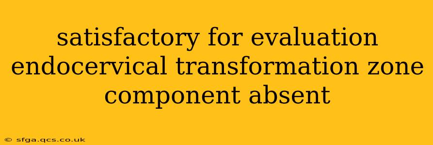 satisfactory for evaluation endocervical transformation zone component absent