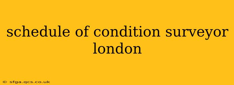 schedule of condition surveyor london