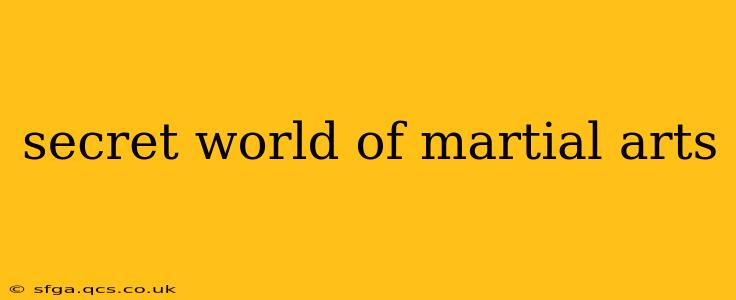 secret world of martial arts
