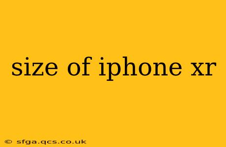 size of iphone xr