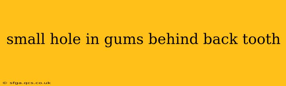 small hole in gums behind back tooth