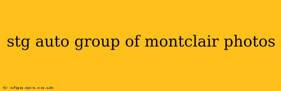 stg auto group of montclair photos