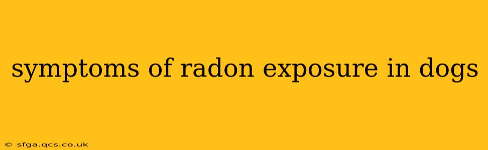symptoms of radon exposure in dogs