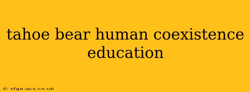 tahoe bear human coexistence education