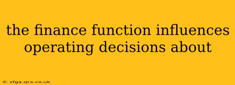 the finance function influences operating decisions about