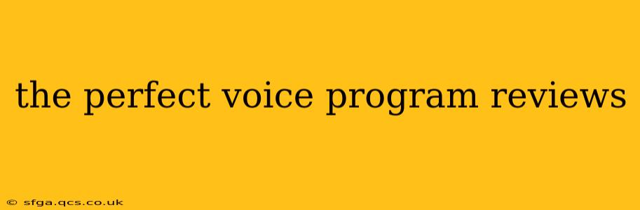 the perfect voice program reviews