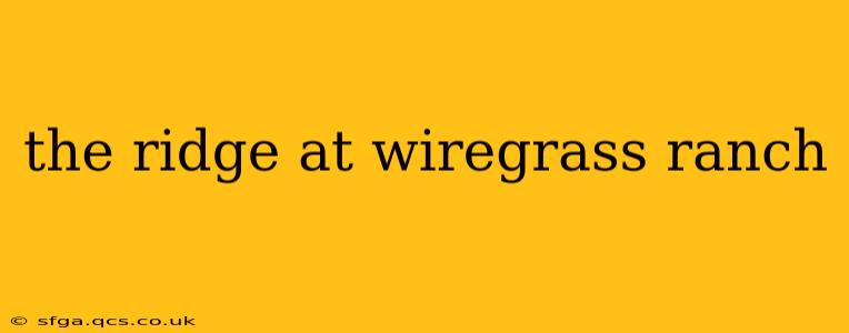 the ridge at wiregrass ranch
