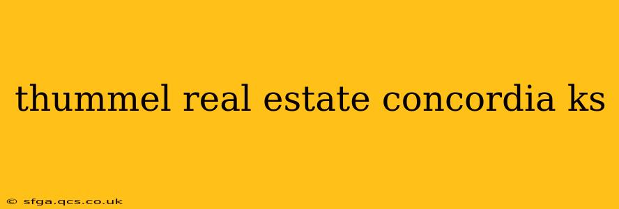 thummel real estate concordia ks