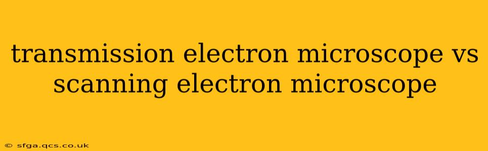 transmission electron microscope vs scanning electron microscope