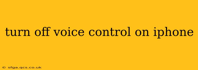 turn off voice control on iphone