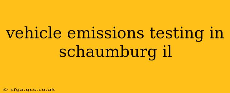 vehicle emissions testing in schaumburg il