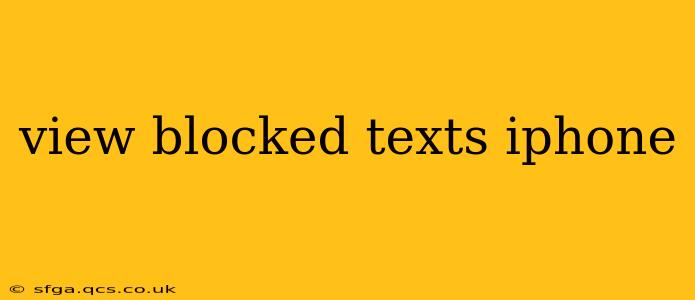 view blocked texts iphone