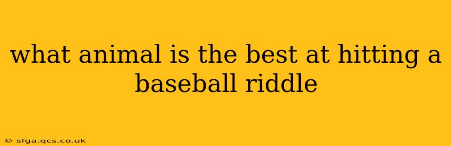 what animal is the best at hitting a baseball riddle