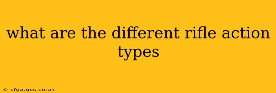 what are the different rifle action types