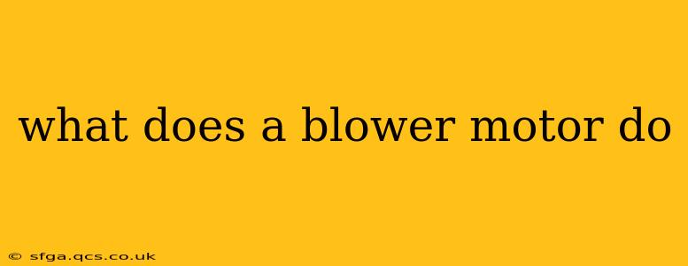 what does a blower motor do