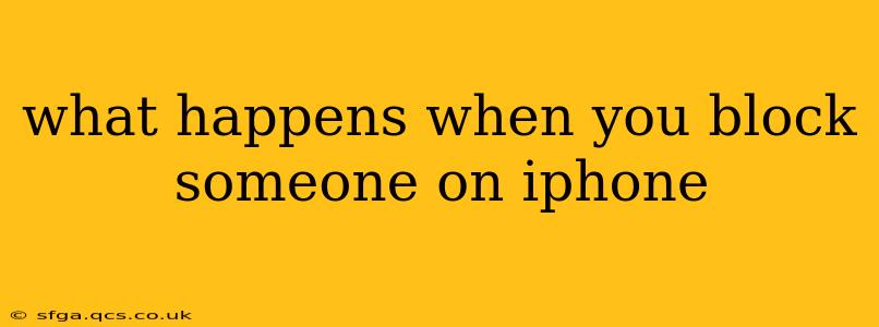 what happens when you block someone on iphone