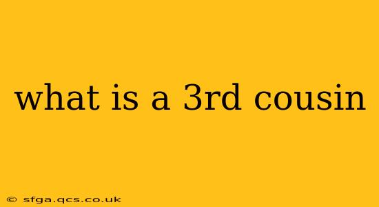what is a 3rd cousin
