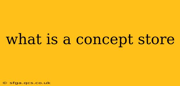 what is a concept store