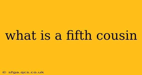 what is a fifth cousin