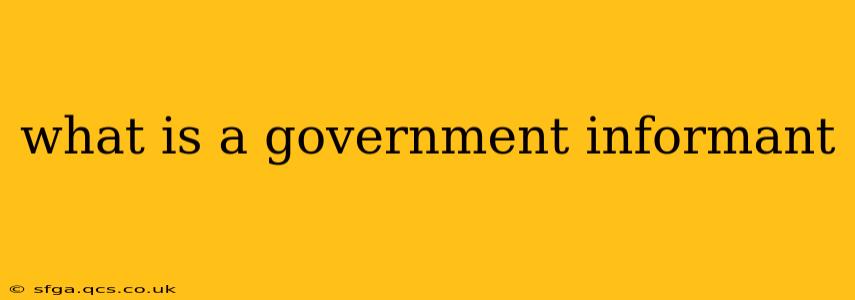 what is a government informant