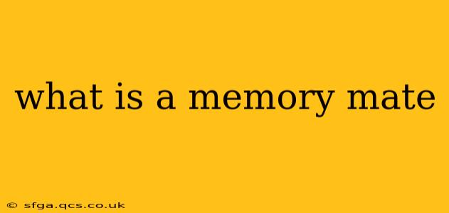 what is a memory mate