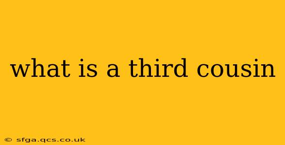 what is a third cousin