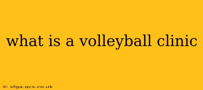 what is a volleyball clinic