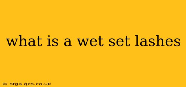 what is a wet set lashes