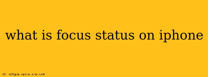 what is focus status on iphone