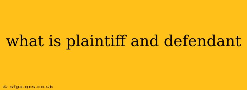 what is plaintiff and defendant