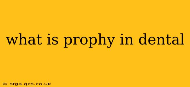 what is prophy in dental