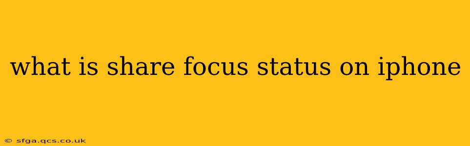 what is share focus status on iphone
