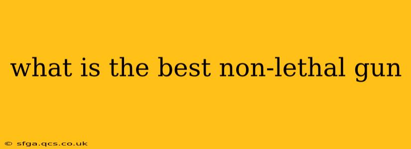 what is the best non-lethal gun