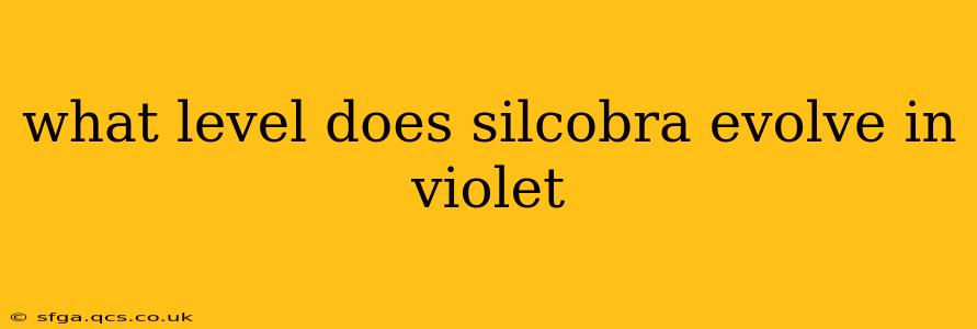 what level does silcobra evolve in violet