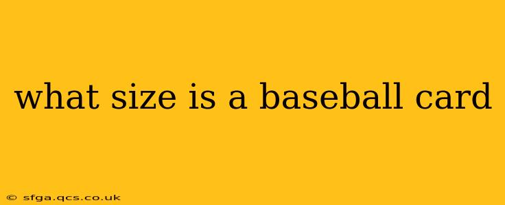 what size is a baseball card