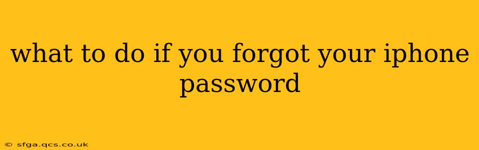 what to do if you forgot your iphone password