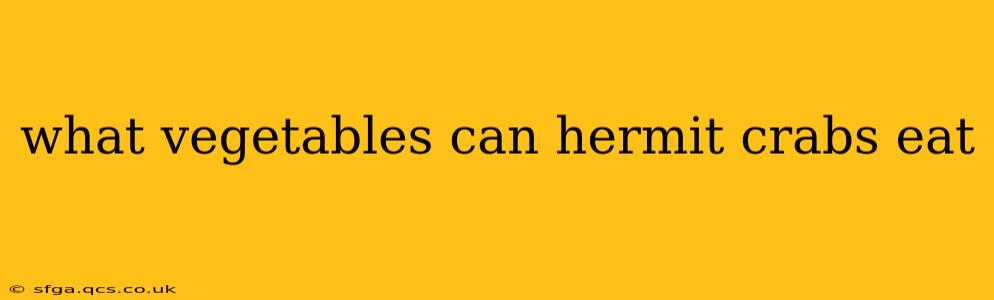what vegetables can hermit crabs eat