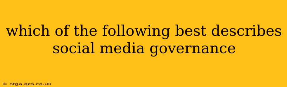 which of the following best describes social media governance
