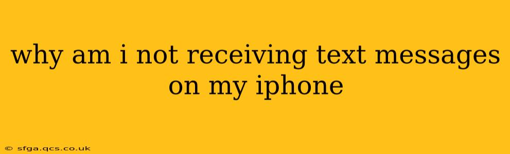 why am i not receiving text messages on my iphone