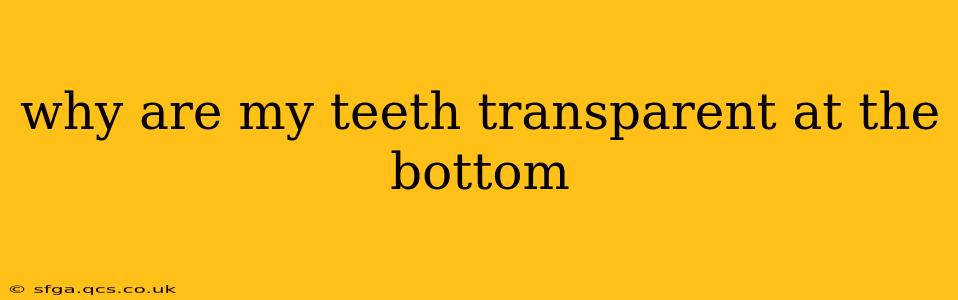 why are my teeth transparent at the bottom